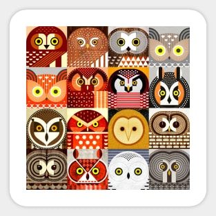 North American Owls Sticker